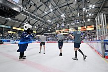 Eishockey, Herren, DEL, Saison 2024-2025, Spieltag 32, ERC Ingolstadt - Adler Mannheim, 30.12.2024
