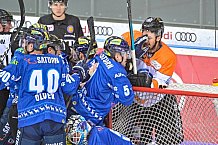 ERC Ingolstadt gegen Grizzlys Wolfsburg Pinguine am 21.12.2018, Spieltag 30
