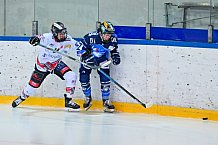 Eishockey, Frauen, DFEL, Saison 2023-2024, ERC Ingolstadt - ECDC Memmingen Indians, 21.01.2024
