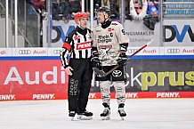 Eishockey, Herren, DEL, Saison 2023-2024, Spieltag 51, ERC Ingolstadt - Kölner Haie, 03.03.2024