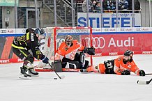 Eishockey, Herren, DEL, Saison 2022-2023, Spieltag 60, ERC Ingolstadt - Grizzlys Wolfsburg, 05.03.2023