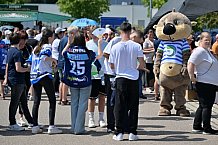 Eishockey, Herren, DEL, Saison 2023-2024, ERC Ingolstadt - Saisoneröffungsfeier, 13.08.2023