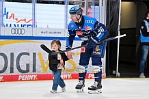 Eishockey, Herren, DEL, Saison 2025-2026, Spiel 43, ERC Ingolstadt - Schwenninger Wild Wings, 25.01.2026