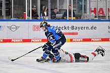Eishockey, Frauen, DFEL, Saison 2023-2024, ERC Ingolstadt - ECDC Memmingen Indians, 07.10.2023
