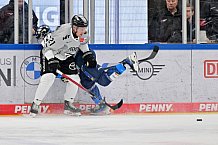 Eishockey, Herren, DEL, Saison 2024-2025, Spieltag 36, ERC Ingolstadt - Kölner Haie, 12.01.2025