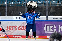 Eishockey, Saison 2025-2026, ERC Ingolstadt - Kids On Ice Day, 10.01.2026