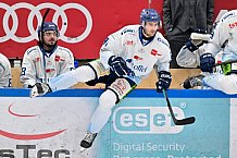 Eishockey, Herren, DEL, Saison 2025-2026, Spiel 40, ERC Ingolstadt - Straubing Tigers, 16.01.2026