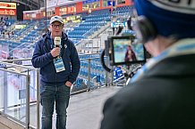 Eishockey, Herren, DEL, Saison 2024-2025, Spieltag 42, ERC Ingolstadt - Kölner Haie, 31.01.2025