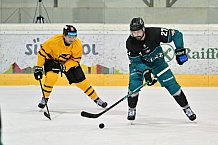 Eishockey, Herren, DEL, Saison 2026-2027, ERC Ingolstadt - HC Verva Litvinov - Steinbach Black Wings Linz, 22.08.2026