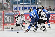 Eishockey, Frauen, DFEL, Saison 2023-2024, ERC Ingolstadt - Amsterdam Tigers, 06.01.2024