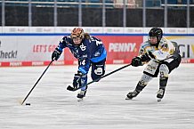 Eishockey, Frauen, DFEL, Saison 2024-2025, ERC Ingolstadt - Mad Dogs Mannheim, 23.11.2024