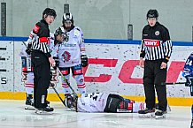 Eishockey, Frauen, DFEL, Saison 2024-2025, ERC Ingolstadt - ECDC Memmingen Indians, 19.01.2025