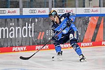 Eishockey, Frauen, DFEL, Saison 2023-2024, ERC Ingolstadt - EC Bergkamener Bären, 28.10.2023