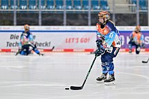 Eishockey, Frauen, DFEL, Saison 2024-2025, ERC Ingolstadt - Mad Dogs Mannheim, 23.11.2024