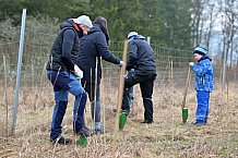 Eishockey, Herren, DEL, Saison 2023-2024, ERC Ingolstadt - Baumpflanzaktion, 02.03.2024