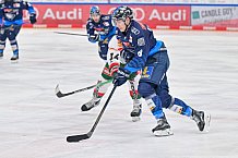 Eishockey, Herren, DEL, Saison 2024-2025, Spieltag 35, ERC Ingolstadt - Augsburger Panther, 10.01.2025