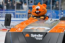 Eishockey, Herren, DEL, Saison 2025-2026, Spiel 21, ERC Ingolstadt - Pinguins Bremerhaven, 23.11.2025