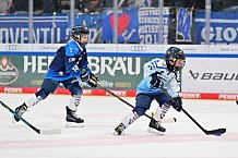 Eishockey, Herren, DEL, Saison 2026-2027, Spieltag 8, ERC Ingolstadt - Löwen Frankfurt, 11.10.2026