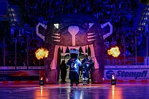Eishockey, Herren, DEL, Saison 2024-2025, Spieltag 25, ERC Ingolstadt - Pinguins Bremerhaven, 12.12.2024
