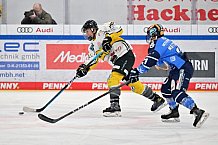 Eishockey, Frauen, DFEL, Saison 2023-2024, ERC Ingolstadt - Mad Dogs Mannheim, 18.02.2024