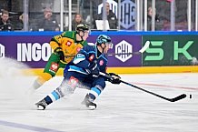 Hockey, Mens, CHL, Season 2025-2026, Regular Season, Game Day 1, ERC Ingolstadt - Ilves Tampere, 28.08.2025
