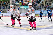 Eishockey, Herren, DEL, Saison 2025-2026, Spiel 11, ERC Ingolstadt - Nürnberg Ice Tigers, 17.10.2025