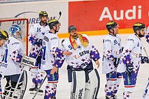ERC Ingolstadt - Adler Mannheim, Eishockey, DEL, Deutsche Eishockey Liga, Spieltag 43, 29.01.2017