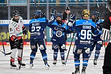 Eishockey, Frauen, DFEL, Saison 2025-2026, ERC Ingolstadt - HK Budapest, 15.11.2025