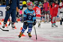 Eishockey, Saison 2025-2026, ERC Ingolstadt - Kids On Ice Day, 10.01.2026