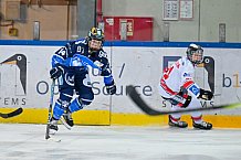 Eishockey, Frauen, DFEL, Saison 2023-2024, ERC Ingolstadt - ECDC Memmingen Indians, 21.01.2024