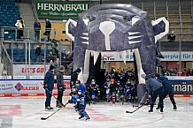 Eishockey, Saison 2025-2026, ERC Ingolstadt - Kids On Ice Day, 29.11.2025