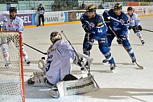 ERC Ingolstadt vs Straubing Tigers, Eishockey, DEL, Deutsche Eishockey Liga, Spieltag 16, 30.10.2016