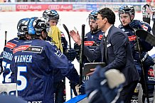 Eishockey, Herren, DEL, Saison 2024-2025, Spieltag 48, ERC Ingolstadt - Nürnberg Ice Tigers, 23.02.2025