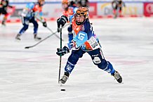 Eishockey, Frauen, DFEL, Saison 2024-2025, ERC Ingolstadt - EC Bergkamener Bären, 05.01.2025