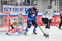 Eishockey, Herren, DEL, Saison 2024-2025, Spieltag 36, ERC Ingolstadt - Kölner Haie, 12.01.2025
