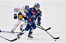 Eishockey, Herren, DEL, Saison 2024-2025, Spieltag 41, ERC Ingolstadt - Eisbären Berlin, 26.02.2025