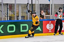 Hockey, Mens, CHL, Season 2025-2026, Regular Season, Game Day 2, ERC Ingolstadt - Kalpa Kuopio, 30.08.2025