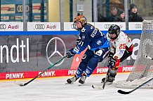 Eishockey, Frauen, DFEL, Saison 2024-2025, ERC Ingolstadt - EC Bergkamener Bären, 05.01.2025