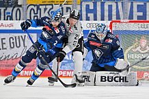 Eishockey, Herren, DEL, Saison 2024-2025, Spieltag 42, ERC Ingolstadt - Kölner Haie, 31.01.2025