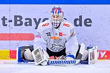 Eishockey, Herren, DEL, Saison 2024-2025, Playoffs Viertelfinale, Spiel 1, ERC Ingolstadt - Nürnberg Ice Tigers, 16.03.2025