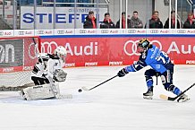 Eishockey, Frauen, DFEL, Saison 2023-2024, ERC Ingolstadt - Amsterdam Tigers, 06.01.2024