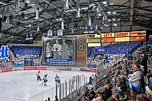 Eishockey, Herren, DEL, Saison 2023-2024, Spieltag 39, ERC Ingolstadt - Iserlohn Roosters, 19.01.2024