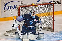 ERC Ingolstadt - Duesseldorfer EG, Eishockey, DEL, Deutsche Eishockey Liga, Spieltag 50, 21.02.2017