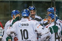 ERC Ingolstadt vs Augsburger Panther, Eishockey, DEL, Deutsche Eishockey Liga, Spieltag 21, 23.11.2016

