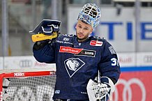Eishockey, Herren, DEL, Saison 2024-2025, Spieltag 49, ERC Ingolstadt - Straubing Tigers, 28.02.2025
