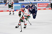 Eishockey, Herren, DEL, Saison 2024-2025, Spieltag 15, ERC Ingolstadt - Augsburger Panther, 03.11.2024
