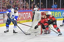 Koelner Haie vs ERC Ingolstadt, DEL, Deutsche Eishockey Liga, Playoffs, Viertelfinale, Spiel 7, 31.03.2019