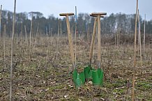 Eishockey, Herren, DEL, Saison 2023-2024, ERC Ingolstadt - Baumpflanzaktion, 02.03.2024
