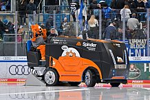 Eishockey, Herren, DEL, Saison 2025-2026, Spiel 21, ERC Ingolstadt - Pinguins Bremerhaven, 23.11.2025
