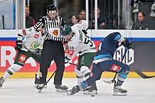 Eishockey, Mens, CHL, Season 2023-2024, ERC Ingolstadt - Färjestad Karlstad, 02.09.2023